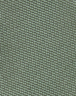 Load image into Gallery viewer, Silk Woven Tie in Green