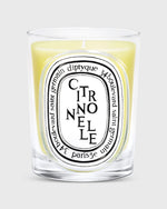 Load image into Gallery viewer, Limited Edition 2026 Candle in Citronnelle