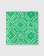 Load image into Gallery viewer, Bandana Green Bandana Print