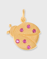 Load image into Gallery viewer, Ladybug Pendant in Gold