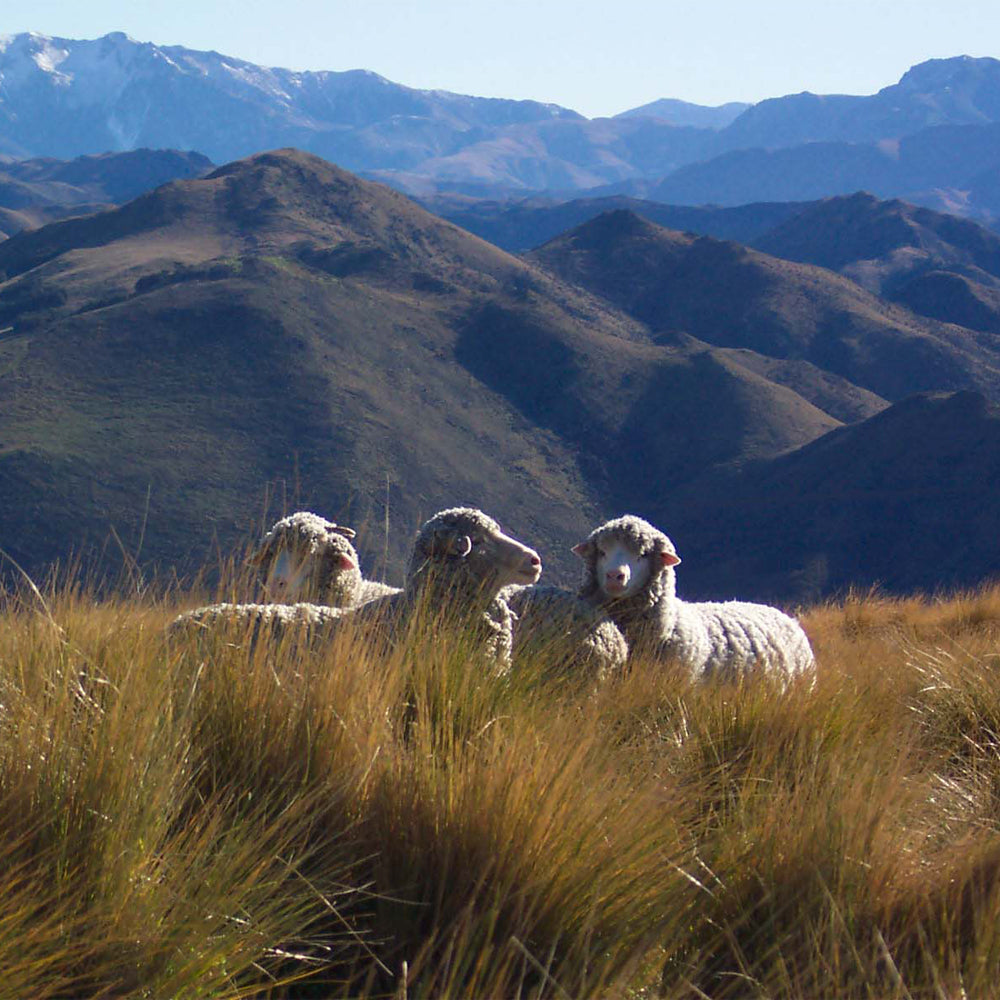Escorial Wool