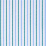 Load image into Gallery viewer, Made-to-Measure Shirt in Bluegrass/Sky Multi Stripe Poplin

