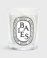 Load image into Gallery viewer, Classic Scented Candle in Baies
