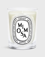 Load image into Gallery viewer, Classic Scented Candle in Mimosa
