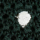 Silk Knit Tie in Hunter/White Dot