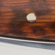 Corkscrew in Snakewood