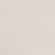 Garment-Dyed Short in Stone AP Twill
