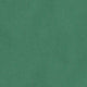 Zip-Front Standard Swim Short in Pine Nylon