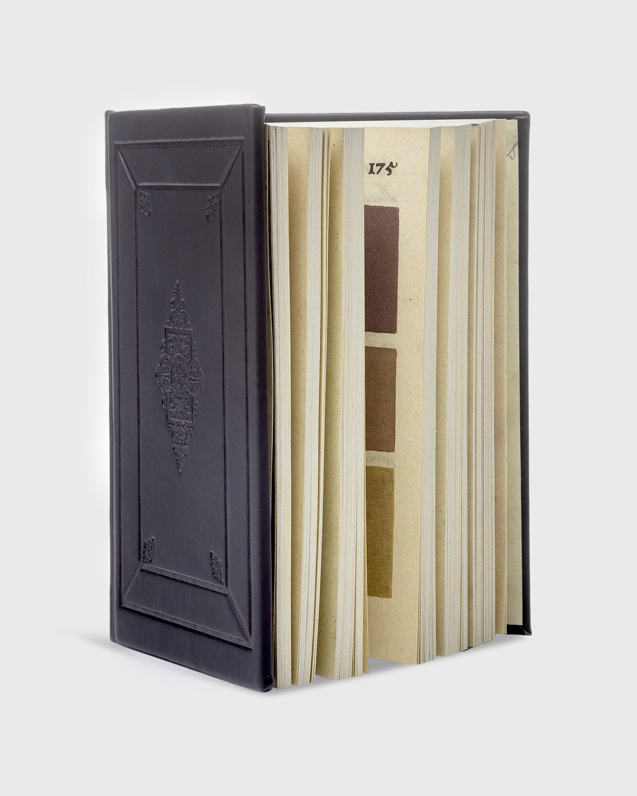 300 Years Before Color (Black & Gold Edition) - A. Boogert