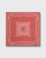 Load image into Gallery viewer, Hand-Rolled Linen/Cotton Pocket Square in Salmon/Navy Flower Paisley
