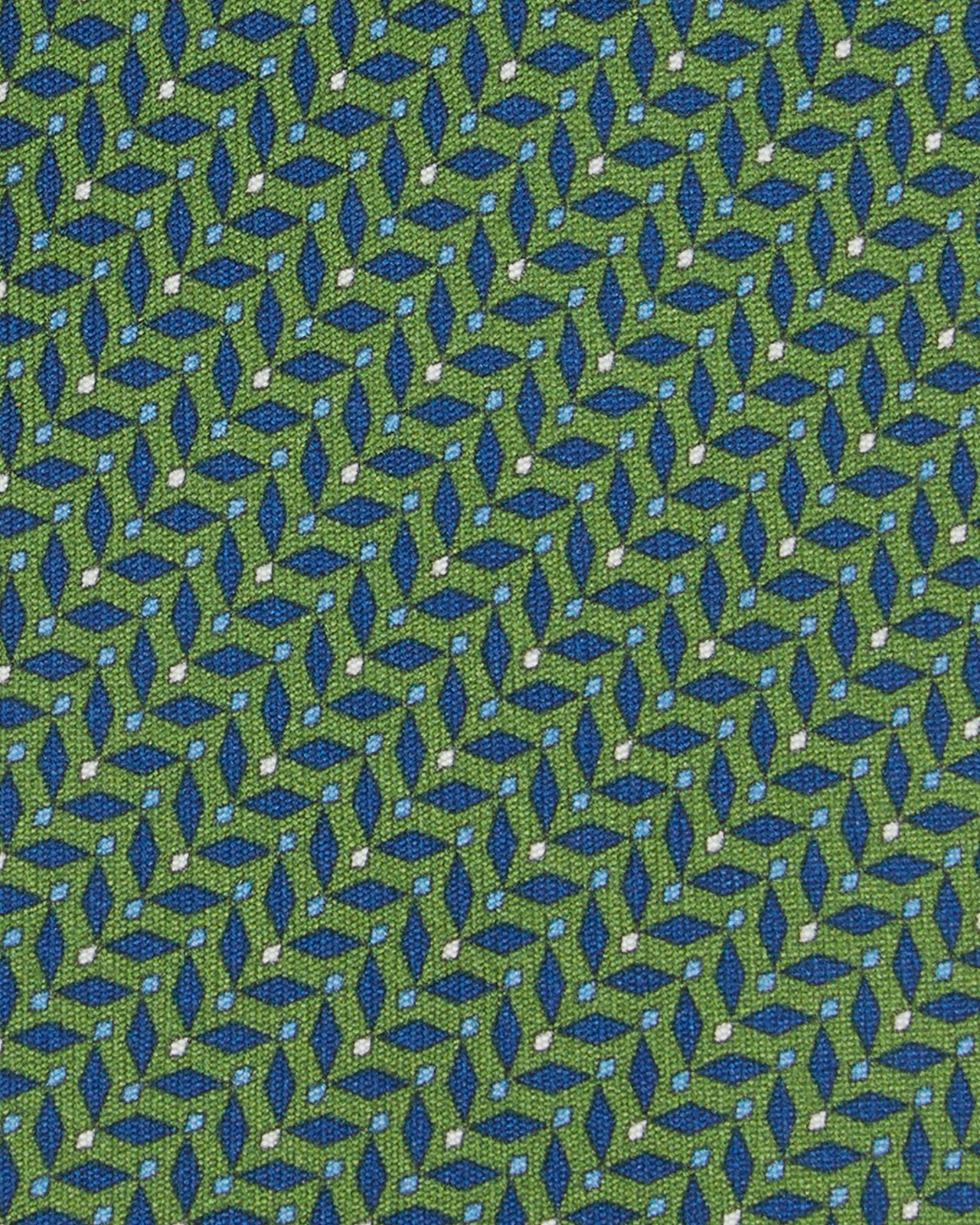 Silk Print Tie in Fern/Blue Diamonds