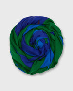 Load image into Gallery viewer, Amour Scarf in Blue
