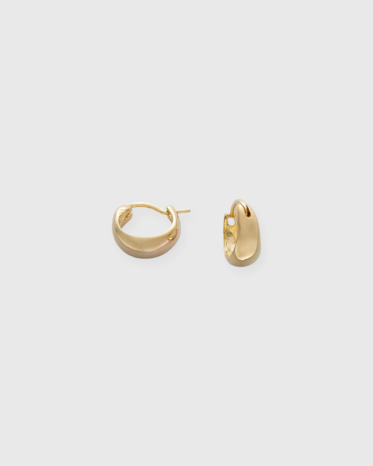 Small Hoop Earrings in Gold