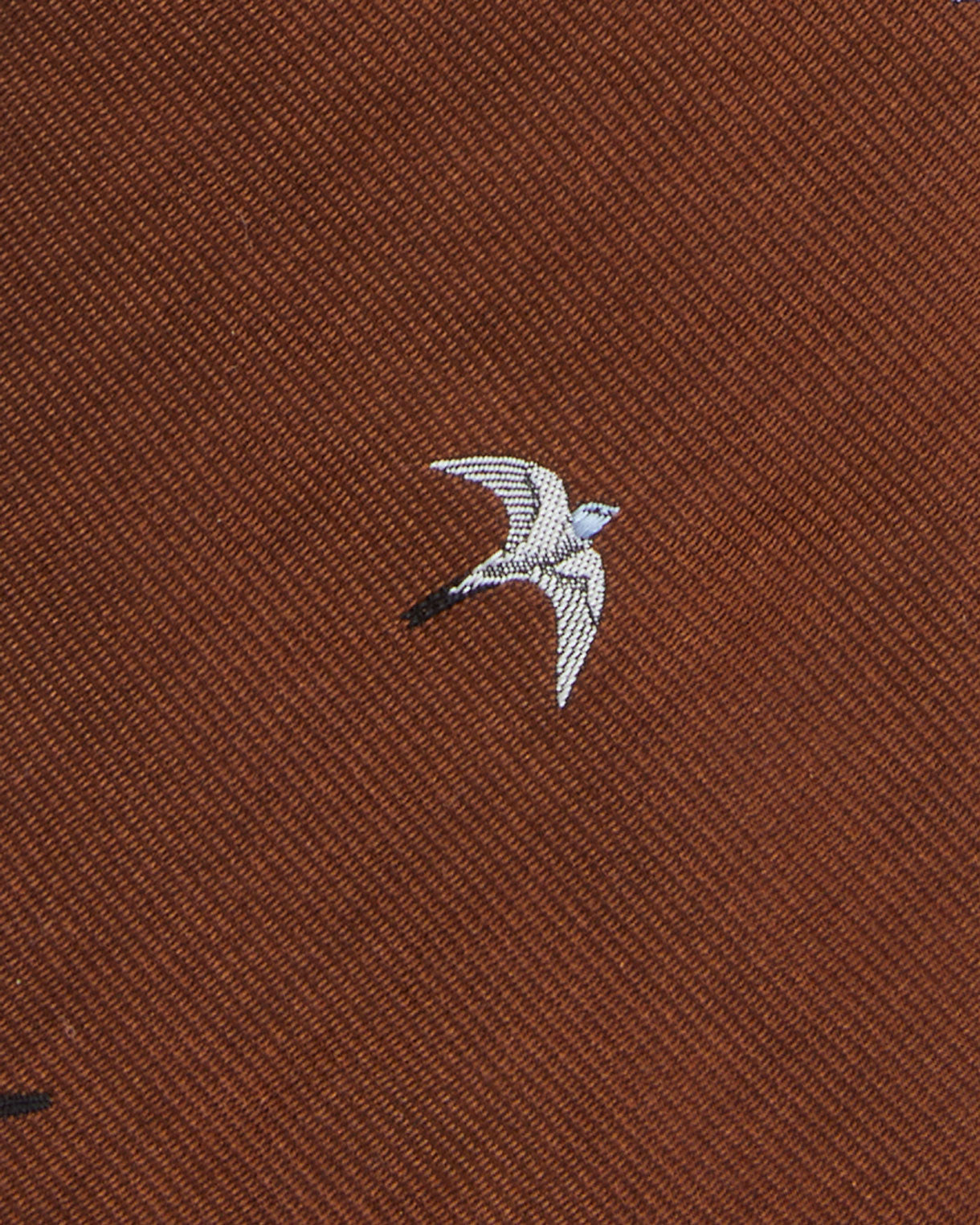 Silk Club Tie in Havana/White/Sky Swallow