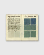 Load image into Gallery viewer, 300 Years Before Color (Deluxe Edition) - A. Boogart
