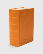 Load image into Gallery viewer, 300 Years Before Color (Deluxe Edition) - A. Boogart
