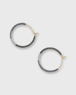 Load image into Gallery viewer, Color Field Hoop Earrings in Gunmetal
