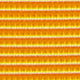 Nato Watch Strap in Ginger Yellow