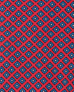 Load image into Gallery viewer, Silk Print Tie in Red/Blue Square
