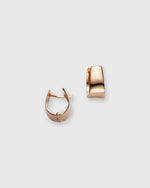 Load image into Gallery viewer, Small Wide Hoop Earrings in Gold
