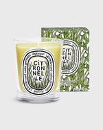 Load image into Gallery viewer, Limited Edition 2025 Candle in Citronnelle
