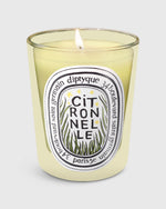 Load image into Gallery viewer, Limited Edition 2025 Candle in Citronnelle
