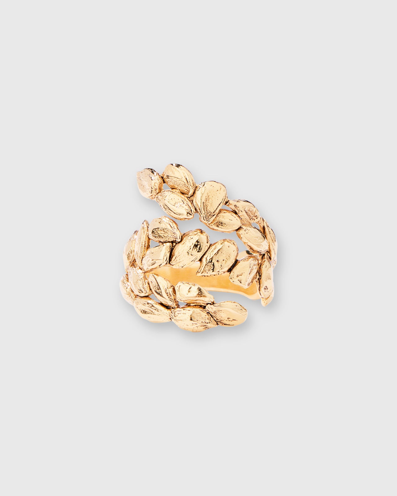 Difenda Ring in Gold