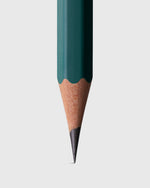 Load image into Gallery viewer, Matte Pencils (Set of 12) in Green
