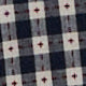 Short-Sleeved Classic Shirtwaist Maxi Dress in Navy/Red Embroidered Gingham