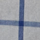 White/Blue Windowpane Poplin