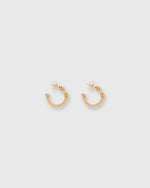 Load image into Gallery viewer, Palazzo Earrings in Gold
