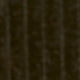 Dark Olive Corduroy