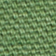 Fern Canvas