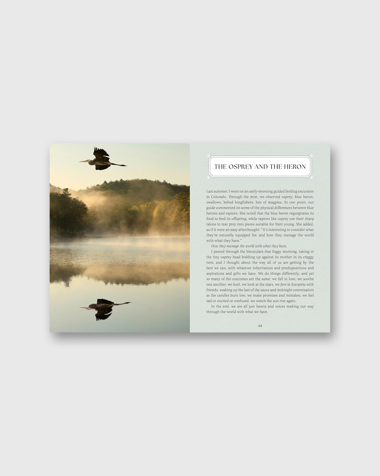 Small Wonders - Jennifer Shoop