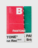 Load image into Gallery viewer, Magazine B - Pantone
