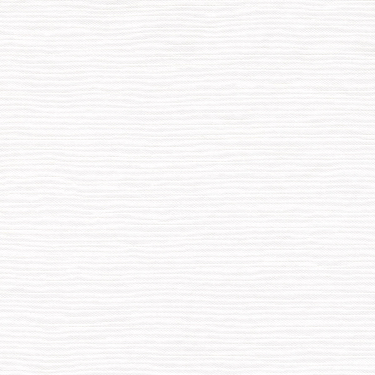 Made-to-Measure Shirt in White Cotolino