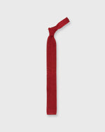 Load image into Gallery viewer, Silk Knit Tie in Dark Red
